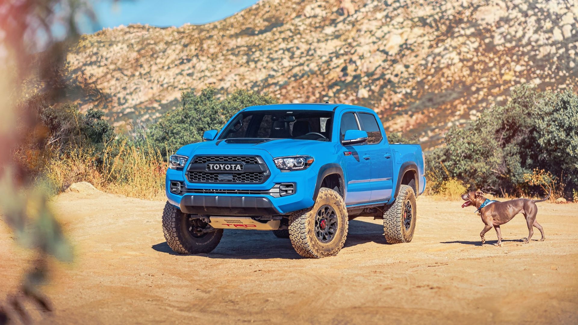 Toyota Tacoma Years To Avoid Most Common Problems REREV