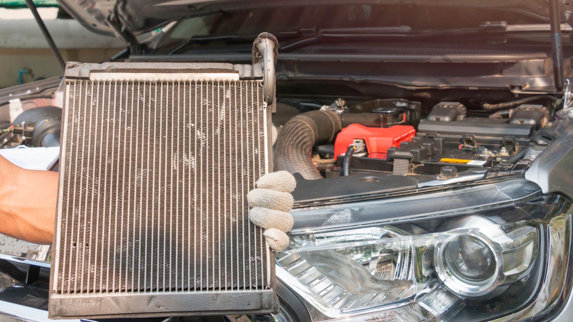 a close up of a radiator on a car.|the engine compartment of a white sports car.|a man working on a car in a garage.|a man working on a radiator in a garage.|a person is working on a car's engine.|a close up of a person working on a car engine.|a person holding a car battery in their hand.|a close up of the front of a car.