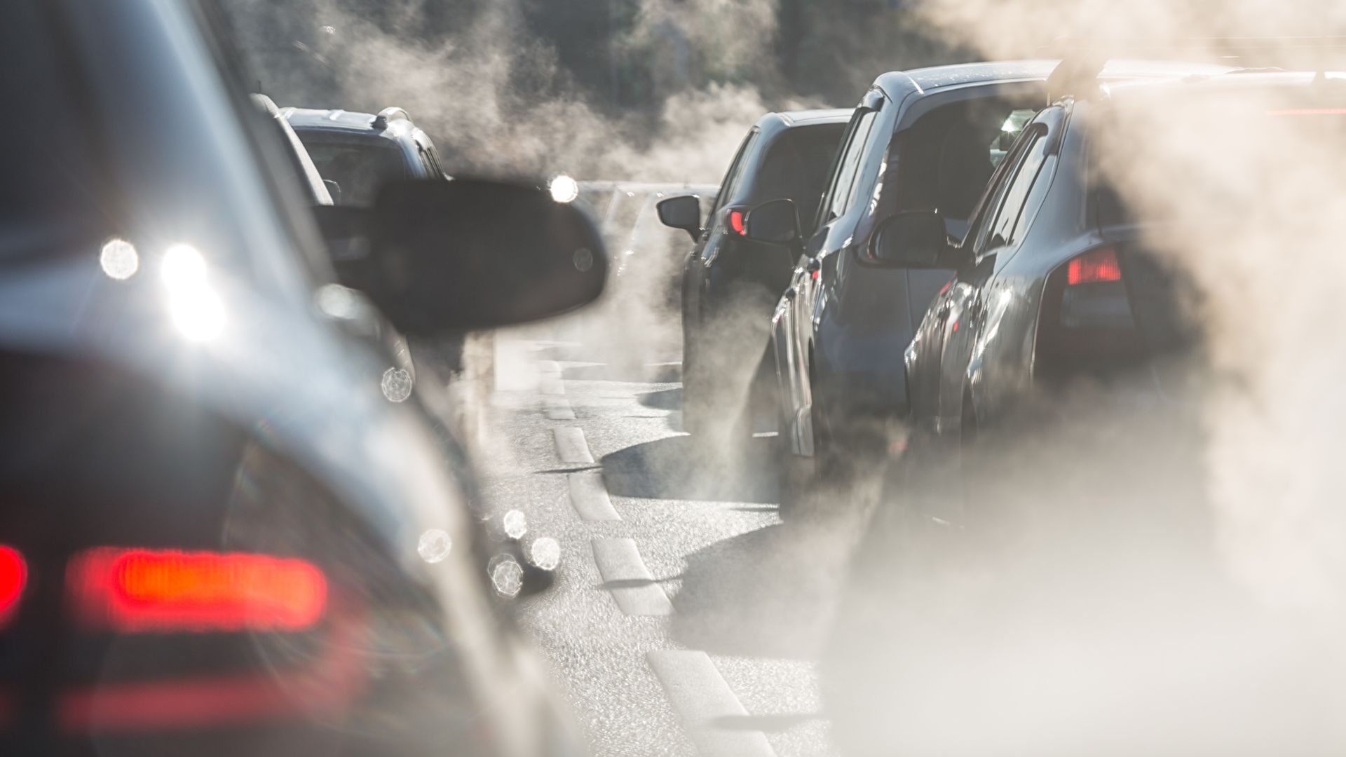 a group of cars driving down a street next to a forest.