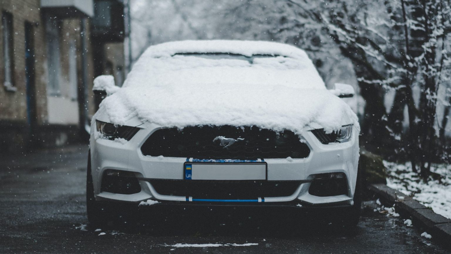 How often should you wash your car? REREV