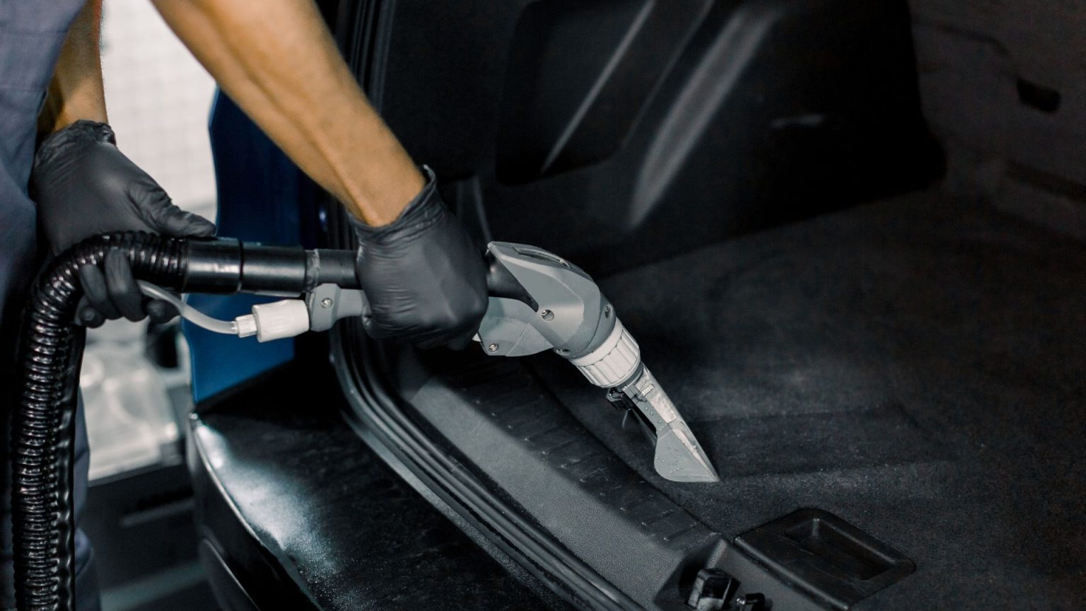 How to get rid of roaches in car — all you need to know | REREV