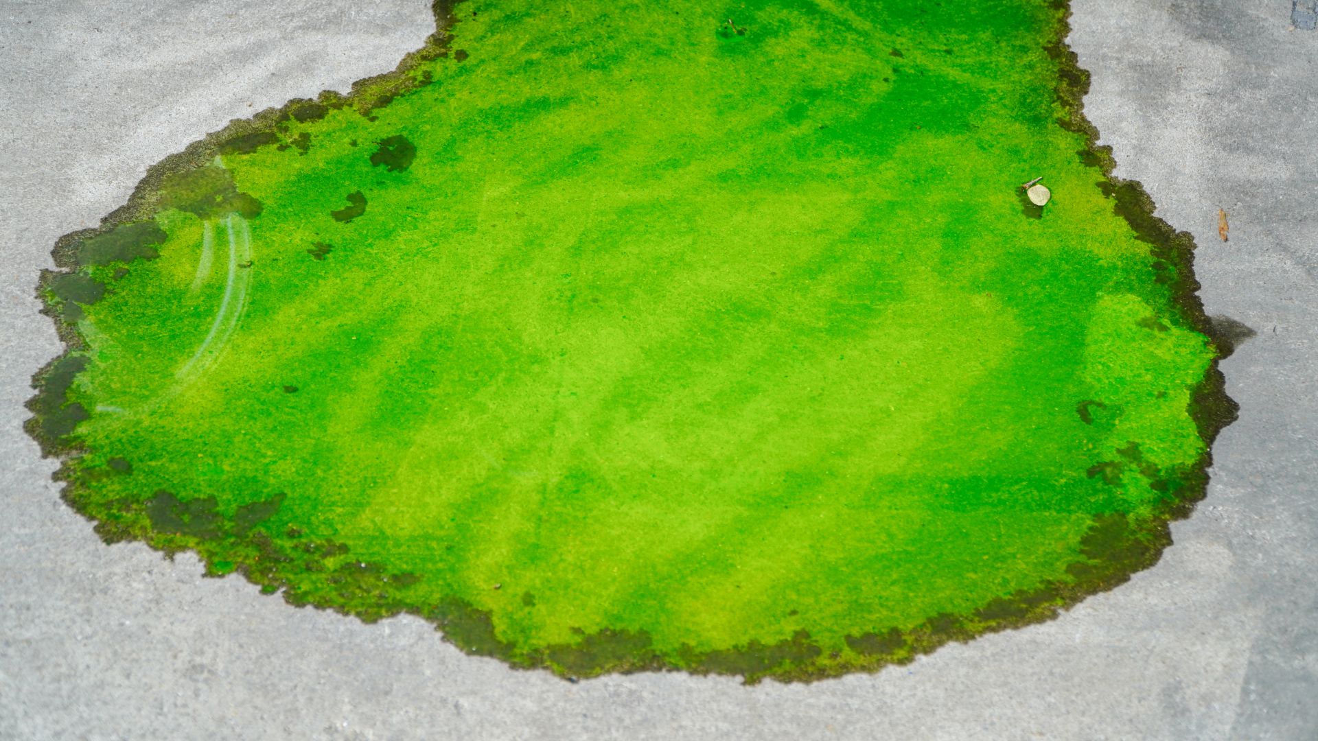 Green Liquid Leaking From Car Causes And Fixes REREV green-liquid-leaking-from-car-causes-and-fixes-rerev