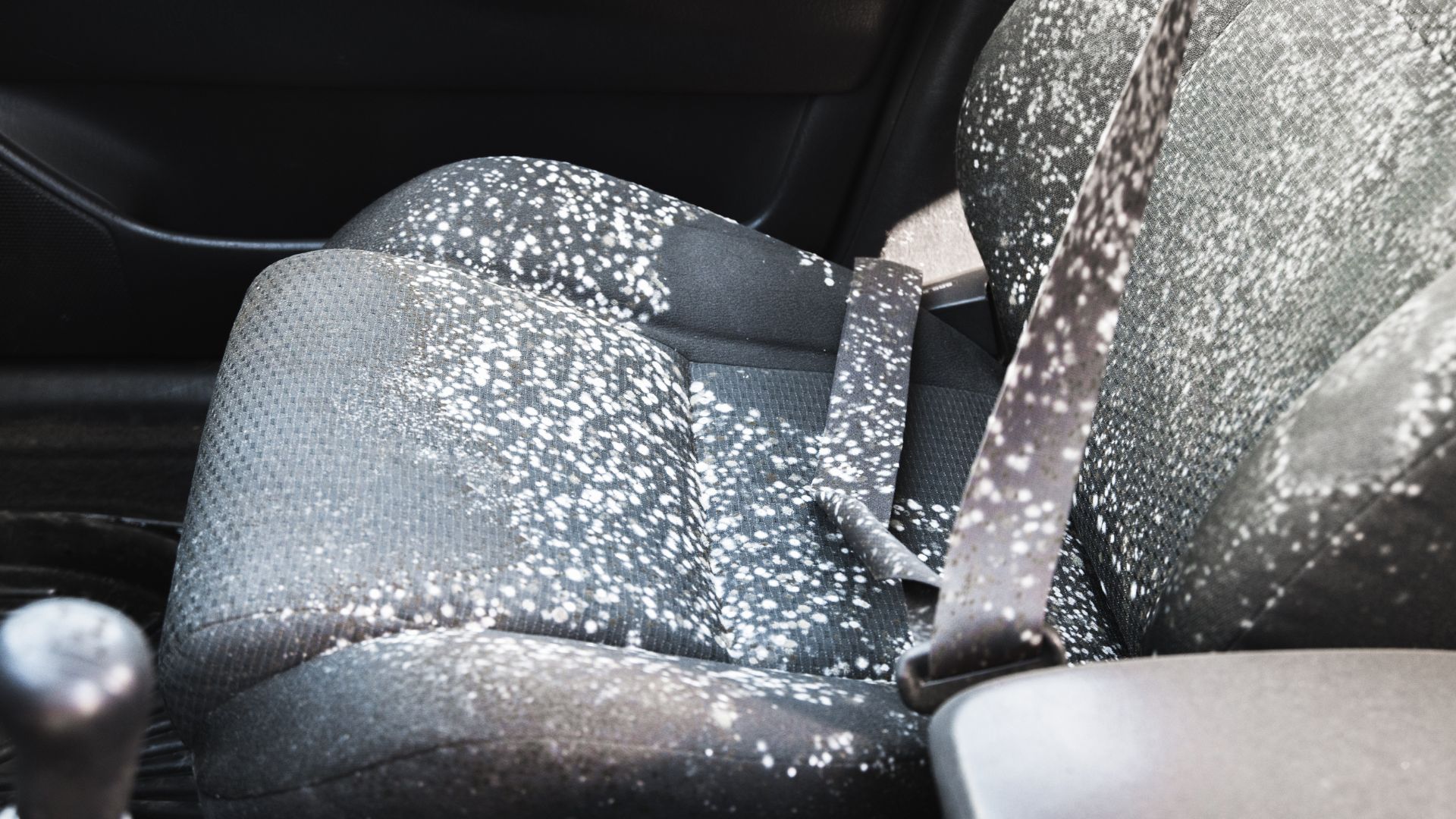 the interior of a car with a gray and white seat cover.