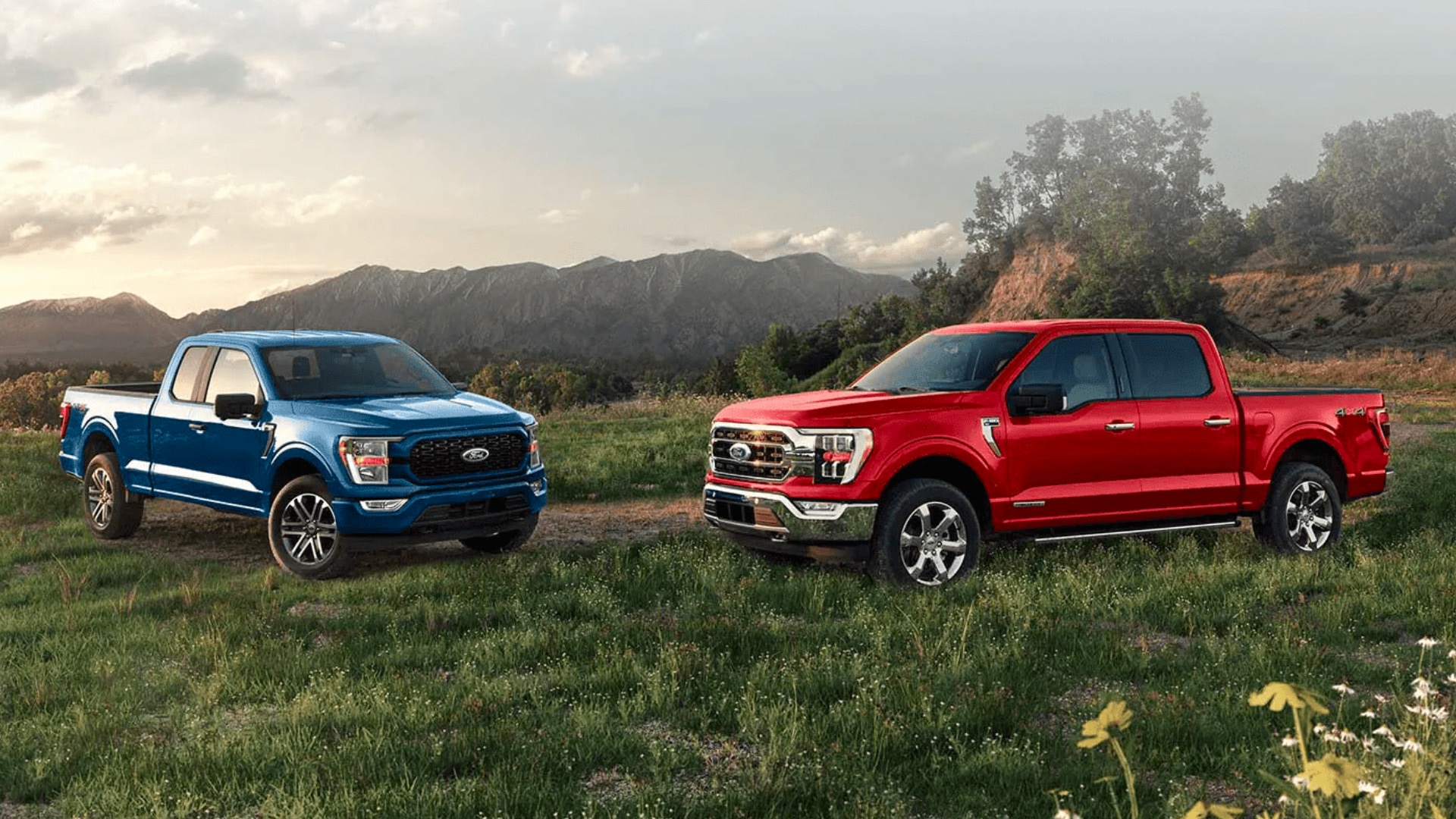 two red and blue trucks parked in a field.